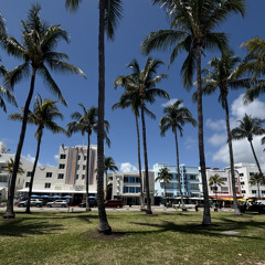 MIAMI BEACH AURAFARMING