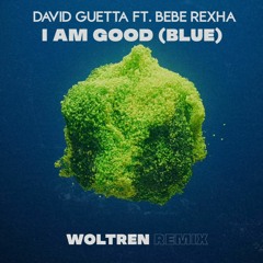David Guetta Ft. Bebe Rexha - I'm Good (Blue) (Woltren Remix)