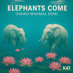 Elephants Come (Haiko Minimal EDM)
