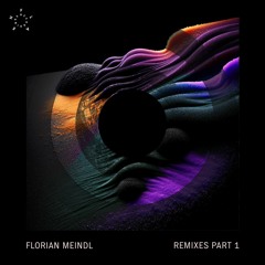 PREMIERE | Florian Meindl - Metaphysics (Schott Remix)