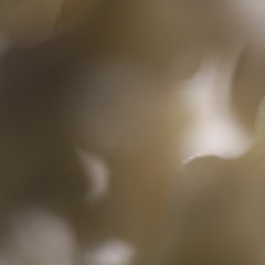 Correspondances