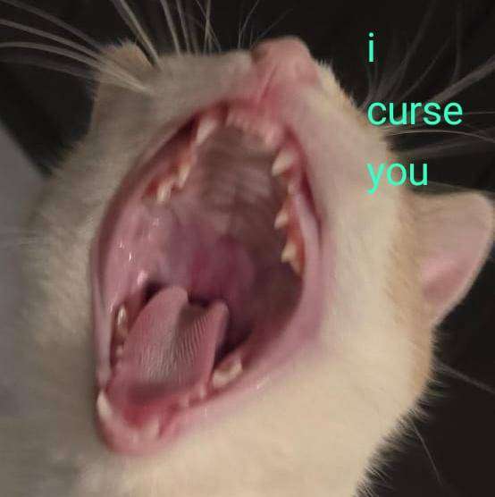 Waiting Room 3: "I Curse You"