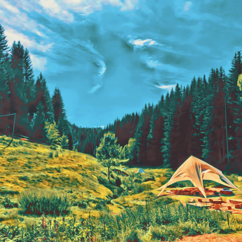 Back Valley Stories | Biophilia (Melodic Organic Mix)