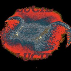 LUCID FEAT. BAMBIDOOD PROD. HEYARNOLD