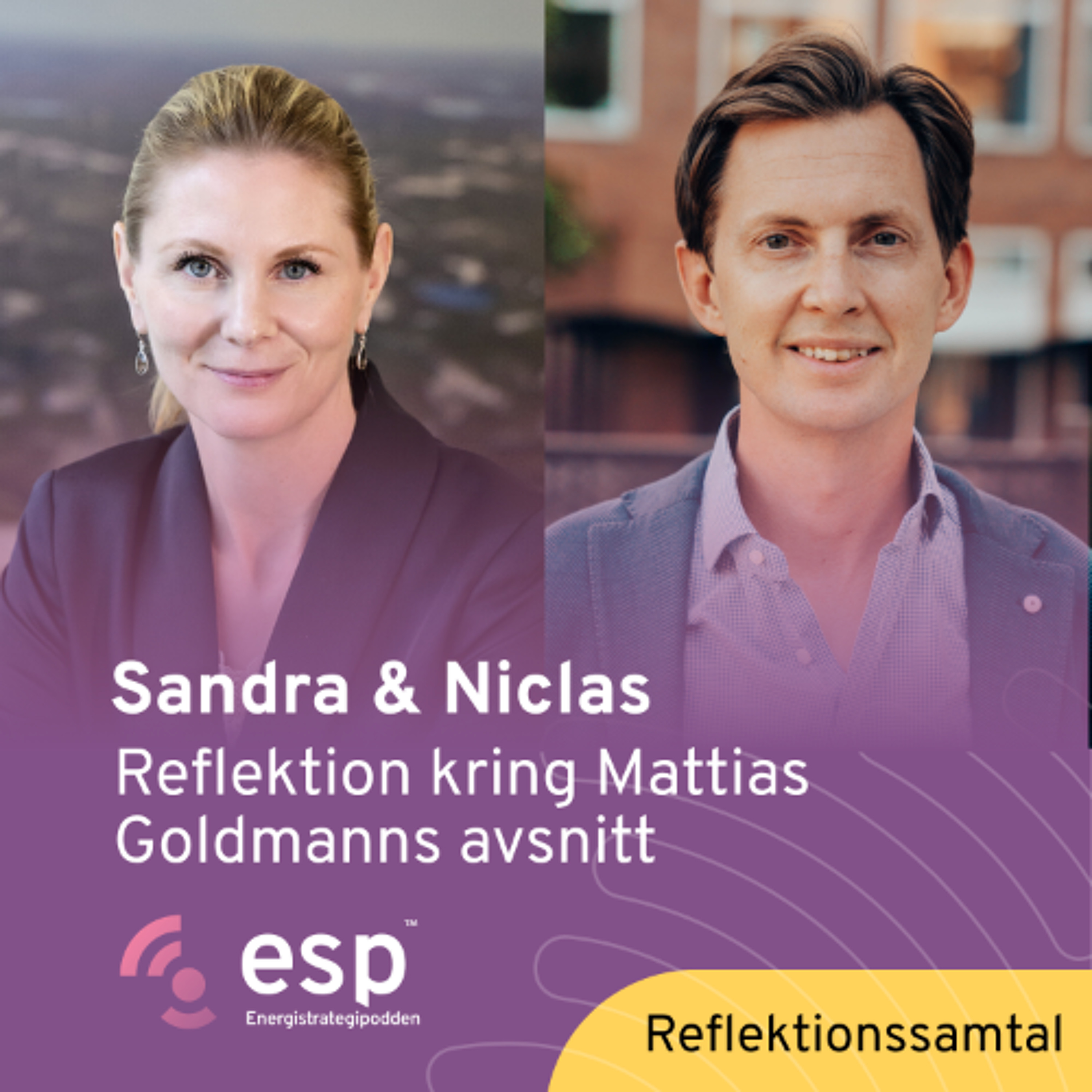 #349 - Reflektionssamtal kring Mattias Goldmanns avsnitt med Sandra och Niclas episode artwork