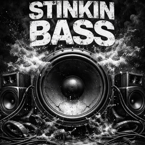 Mister speaker-Stinking bass ( FREE DOWNLOAD)