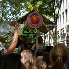 Tanzdemo Stuttgart 05.07.25 | Gude Zeit Kollektiv