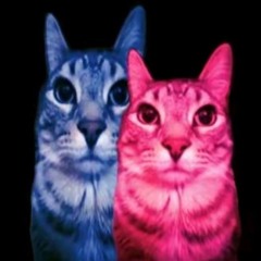 tv garota  (prod.@malikeef)