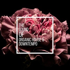 The Sound Of Organic House & Downtempo.11