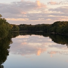 Ardella