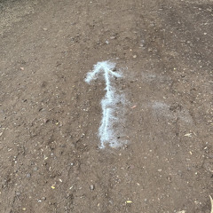 Falanlar Filanlar - D!SHA & Yusuf (Original)