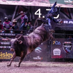 8 Seconds don't live here - The WARDEN