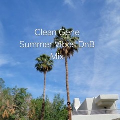 Summer Vibes DnB Mix