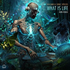 Volcano & Sonic Species - What Is Life (IKØN Remix)