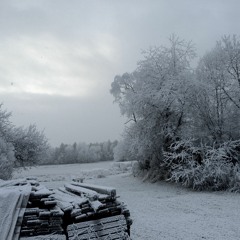 Fifty50 #06 Winter Spectrum