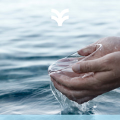 HAVEN Taufgottesdienst I Lukas 19, 1-10 I 12.10.2025 I Dominic Marx