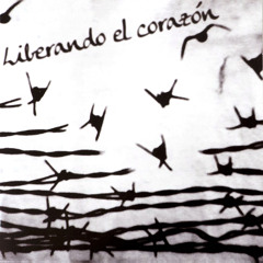 Perdimos el Miedo