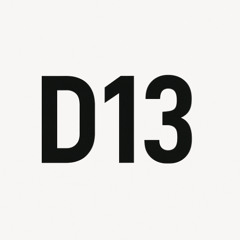 D13 (raw)