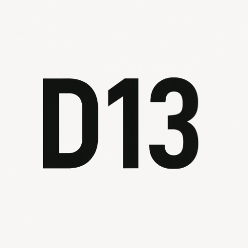 D13 (raw)