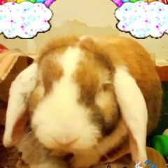 Lil' DeeYayyy Bunnej Daance🐇💖🐾 - Lil' DeeYayyy Bunnej feat Marrrthy