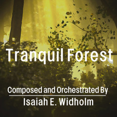 Tranquil Forest