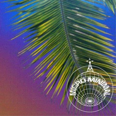 Meaney - Cosmic Voyager