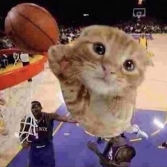 SHAQ W3ST