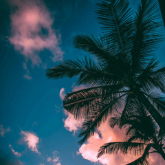 Ban Tam Chan Tinh - Quang Nhớ Remix