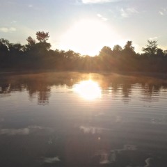 Second Guess