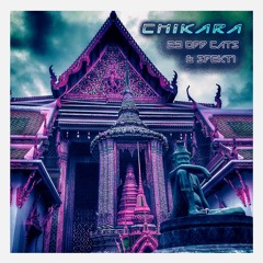 SPEKT1 & 23 Odd Cats - Chikara
