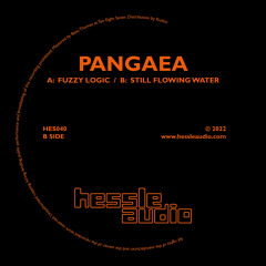 Pangaea - Fuzzy Logic (Edit)