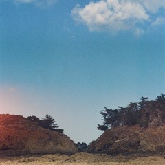 some body shouda told you