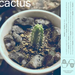 nect - cactus