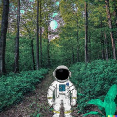 Tribute to This Never Happened