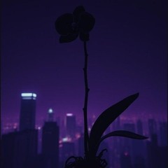 Black Orchid feat. Mia