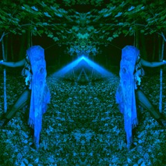 Searching For A Star