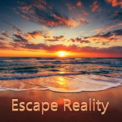 Dave Shields - Escape Reality 008