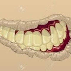 Croco Blanc @ Alex RM