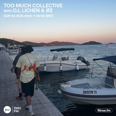 Too Much Collective with OJ, Lichen & ØZ - 04 August 2024