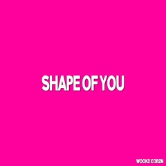 Shape Of You (WOOK2 & DB2N Rework)
