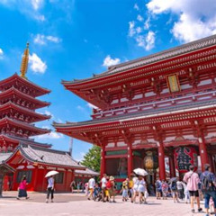 Review Special Price Tokyo Private Sightseeing Tour With English Speaking Driver
