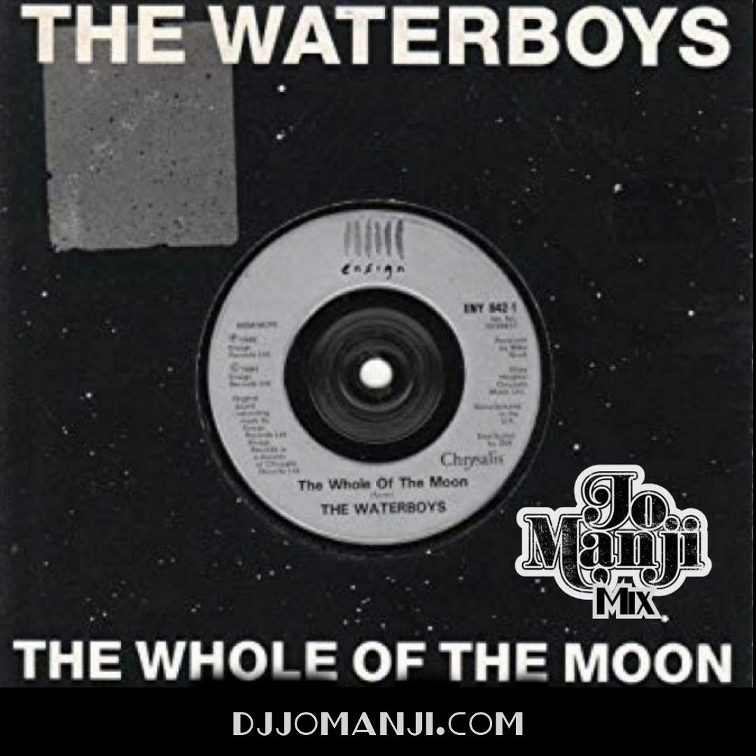 The Whole of the Moon: The Music of Mike Scott and the