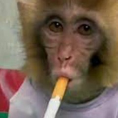 Stream big black monke by monkey smoking gas | Listen online for