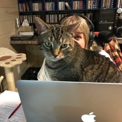 526 BELIEVE IT OR NOT