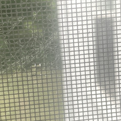 The Light (prod Iankon)