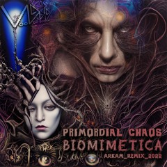 Primordial Chaos - Delaunay Mesh  (156)