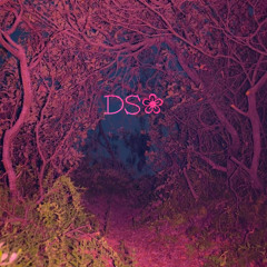 disguising seasons - B4pm x Vwoken (unreleased)