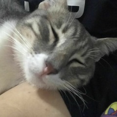 Easy - Mac Ayres(vocal only lulz)