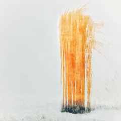 Combs