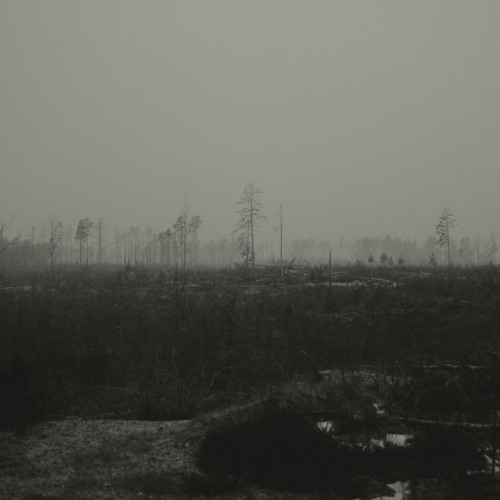 sonder – ambient mix